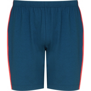 SANTA FEE BLAUW