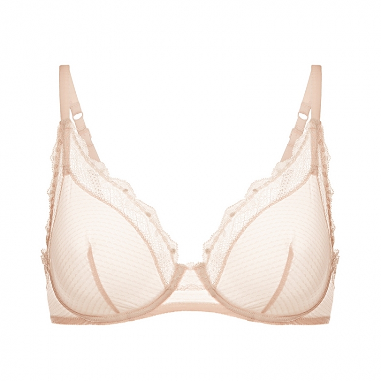 CANDIDE ROSE