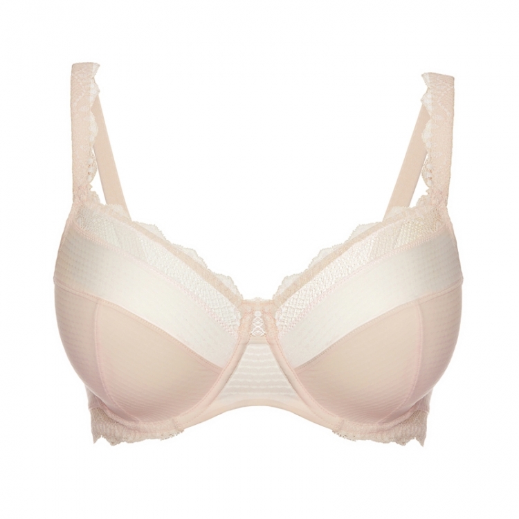 CANDIDE ROSE