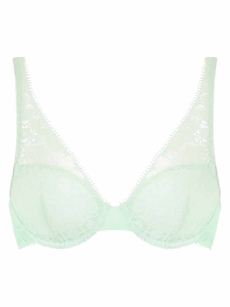 C15F70 00E GREEN LILY