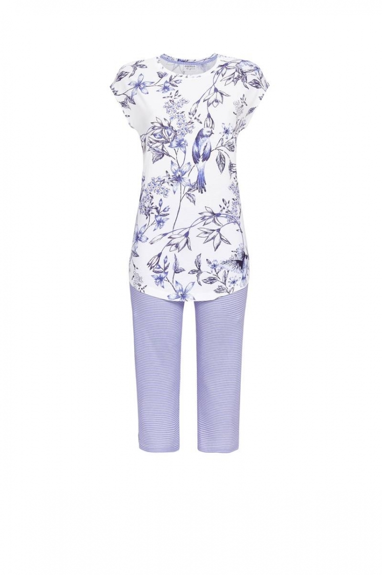 4261215 BLAUW