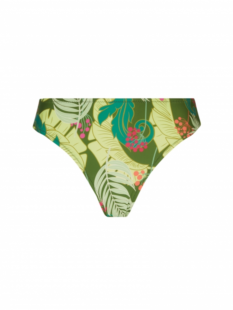 LA VENUS NATURE GROEN