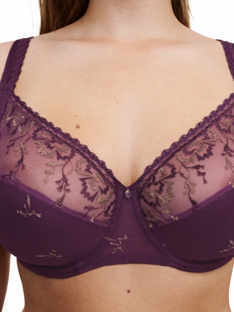 C16B10 0DM AUBERGINE S
