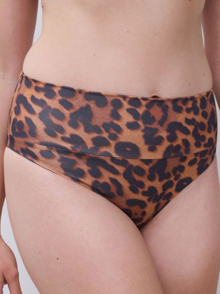 C17UC5 A12 WILD LEOPAR