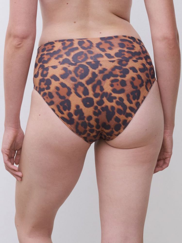 C17UC5 A12 WILD LEOPAR