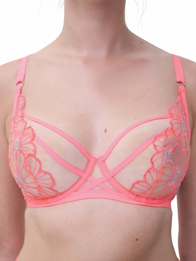 C22OM0 0J7 ROZE MIAMI