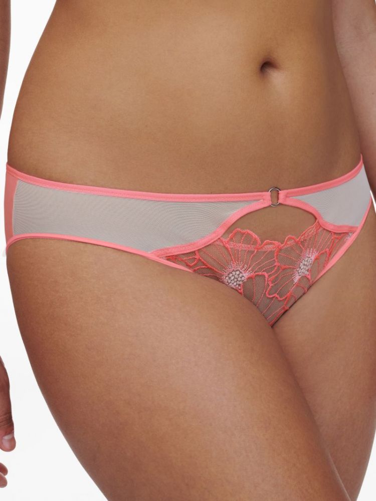 C22OA0 0J7 ROZE MIAMI