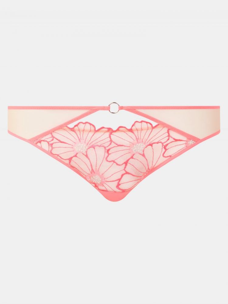 C22OA0 0J7 ROZE MIAMI