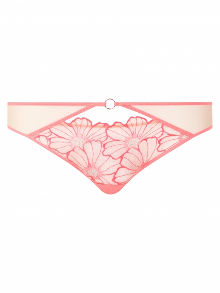 C22OA0 0J7 ROZE MIAMI