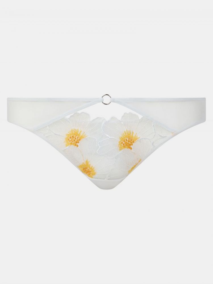 C22OA0 A37 DAISY