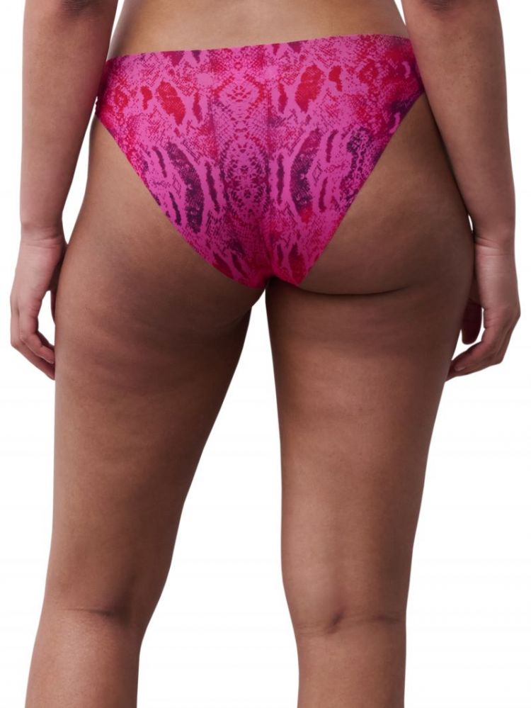 C22HA3 B14 PINK SNAKE