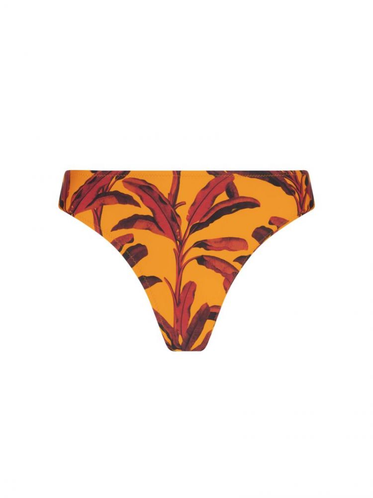 LA MELANESIA GEEL