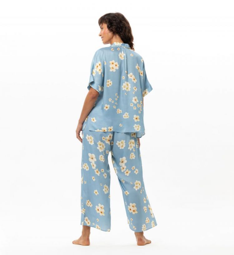 EDEN 206 BLAUW