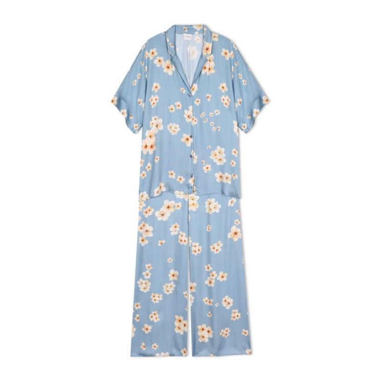 EDEN 206 BLAUW