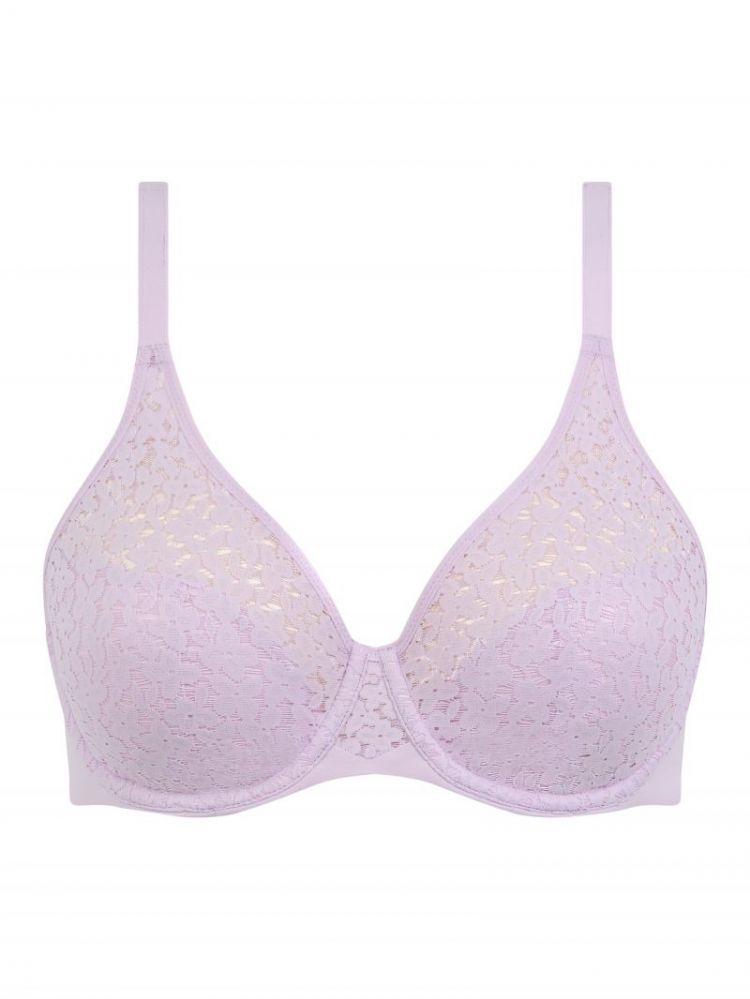 C13F10 027 MAUVE